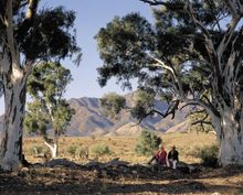 The Flinders Ranges, Australia