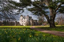Winton Castle - Spring View - Daffodils - Visit East Lothian
