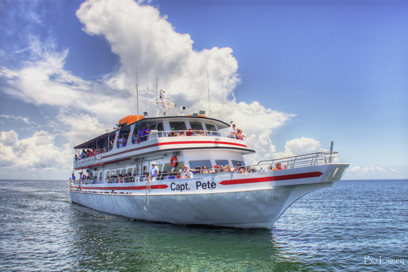 This spring, Coastal Mississippi has identified 11 seasonal activities and attractions for all to enjoy.