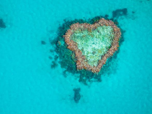 Heart Reef Whitsundays, Earth Day 2022 Heart Reef Whitsundays, Earth Day 2022