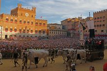 Palio of Siena tour