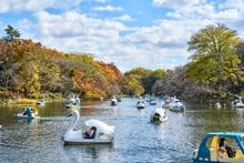Inokashira Park