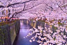 Nakameguro River