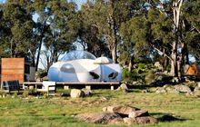 The Captain Thunderbolt Bubbletent and Mary Ann Bugg Tiny Bubble Tent suspended in the gum trees here at Mirumiru.