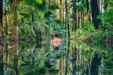 Zebedee Thermal Springs