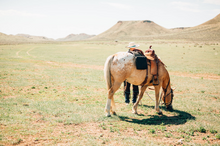 soulful landscapes, Paradise Guest Ranch, Wyoming
