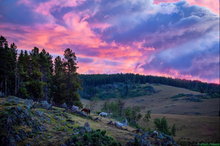 Horses at sunset, Paradise Guest Ranch, Wyoming 