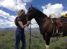 Stop & stare at the wildflowers, Paradise Guest Ranch, Wyoming