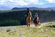 Breathing in the scent of lupines on horseback, Paradise Guest Ranch, Wyoming