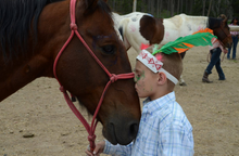 Family friendly, Paradise Guest Ranch, Wyoming