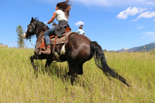 galloping across the wilderness, Echo Valley Ranch & Spa, British Columbia