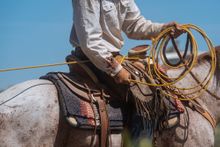 Live the cowboy lifestyle, Zapata Catlle & Bison Ranch, Colorado