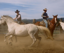 Cowboys at Greenhorn Ranch, California