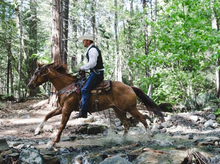 A refreshing canter in the woods, Greenhorn Ranch California