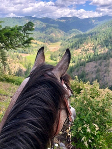 Spectacular views from the back of a horse, Red Horse Mountain Guest Ranch, Idaho