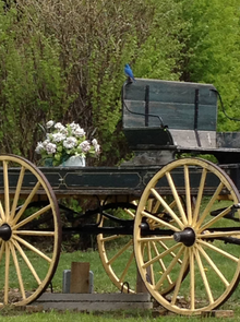 the arrival of spring, Historic Reesor Ranch, Saskatchewan