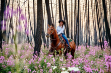 Saddle up & discover the power of nature at Siwash Lake Luxury Guest Ranch, British Columbia