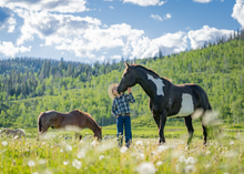 Family friendly, Vista Verde Luxury Guest Ranch, Colorado
