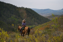 Views that will refresh the mind, body & soul, Vista Verde Luxury Guest Ranch, Colorado
