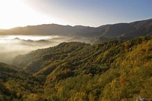 PARCO NAZIONALE FORESTE CASENTINESI