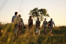 A guided walking safari at Xigera Safari Lodge in Botswana's Okavango Delta