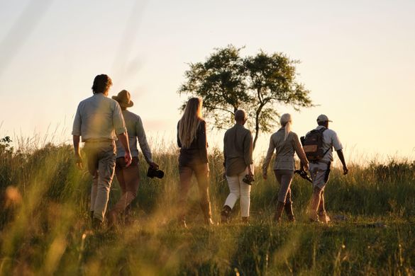A guided walking safari at Xigera Safari Lodge in Botswana's Okavango Delta