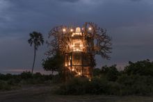 A night at Xigera's Baobab Treehouse is highly recommended
