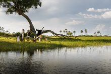 Sundowners on the banks of the Okavango at Xigera Safari Lodge