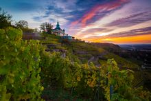 Sunrise over vineyards around Radebeul