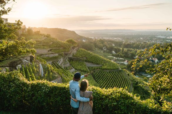 View over vineyards around Radebeul/Saxon Wine Route