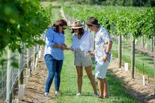 Bundaberg Region Culinary Scene
