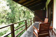 SLEEP - Rainforest Room balcony