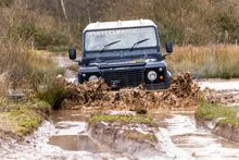 Find Your Freedom in the Forest of Dean