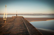 Find Your Freedom in the Forest of Dean