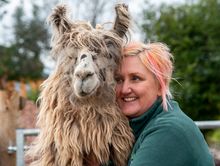 Find Your Freedom in the Forest of Dean