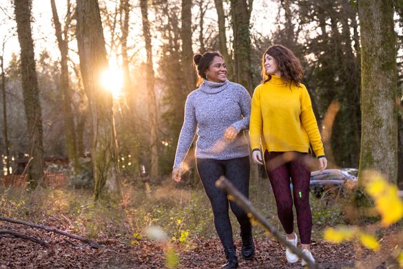 Find Your Freedom in the Forest of Dean