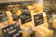 Find Your Freedom in the Forest of Dean