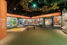 Virginia Museum of History and Culture Our Commonwealth Gallery 5