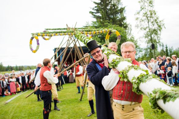 Raising the midsummer pole in Dalarna Raising the midsummer pole in Dalarna