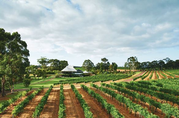 Vasse Felix, Margaret River WA