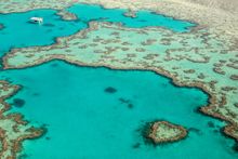 Heart Reef, Whitsundays