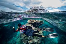 Dreamtime Dive and Snorkel