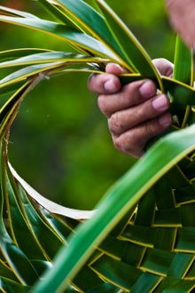 Skillful hands weaving coconut palm fronds into a hat