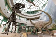N.C. Museum of Natural Sciences