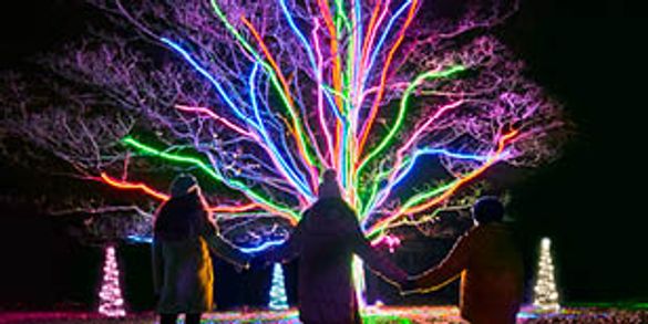 Neon Tree