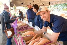 Taste Bundaberg Festival 2022