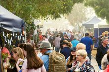 Taste Bundaberg Festival 2022