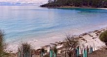Rehabilitating Maria Island - The Maria Island Walk