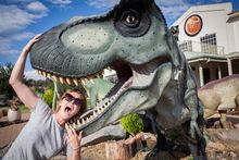 The National Dinosaur Museum.