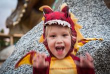 National Dinosaur Museum